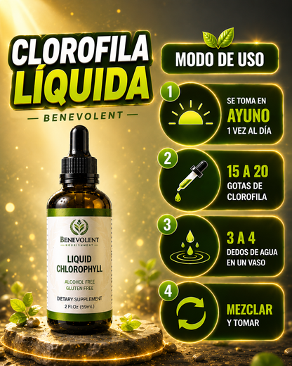 Clorofila Benevolent X 60 ML