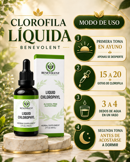 Clorofila Benevolent X 60 ML